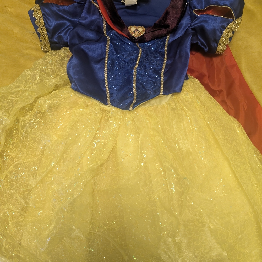 Blue and Yellow Princess Costume for Kids Disney Size S, 6